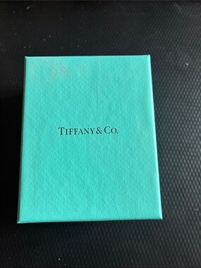 Tiffany & Co. Robin's Egg Blue Gift Box blue heart necklace.